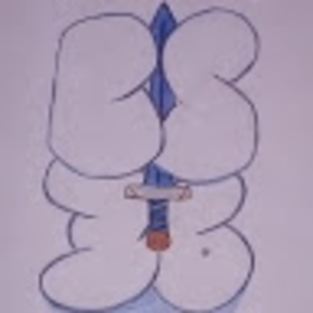 Meet your Posher, Bs36